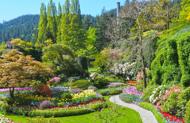 Excursión privada desde Vancouver - Foto 1