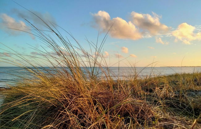 Lagon bleu - Foto 36