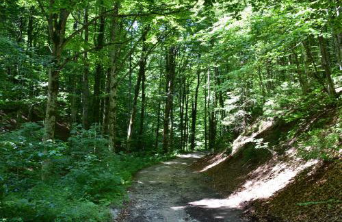 Plitvice Panta Rei - Foto 43