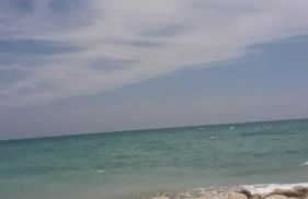 Privileged setting close to Plaza Mar 2 - Photo 48