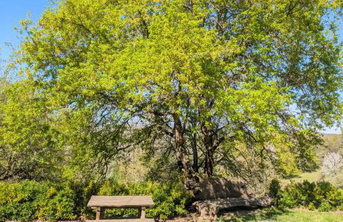 A Nosa Casa - Foto 18