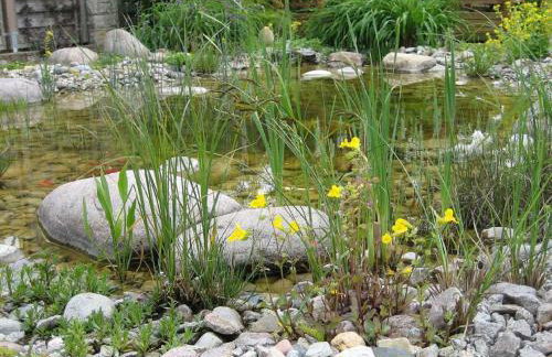 Zum Fuchsbau - Foto 60