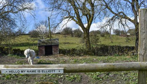 Stable Cottage - Photo 5, Garden