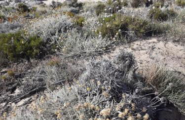 casa mirice in residence con piscina ,wifi,climatizzatore vicino al mare - Photo 26