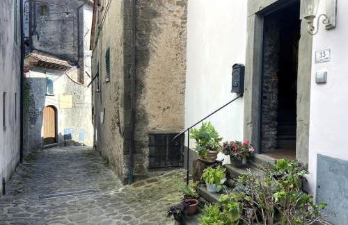 Tuscany Home-Casoli - Foto 21