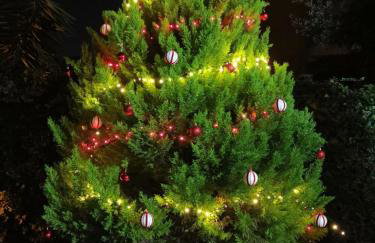 Mare, Roma e Aeroporto - Tutto a portata di mano - Foto 29