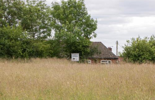 The Turbles - Wagtail - Foto 22