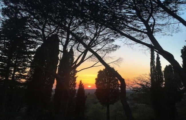 Charming Vineyard Escape - Foto 40