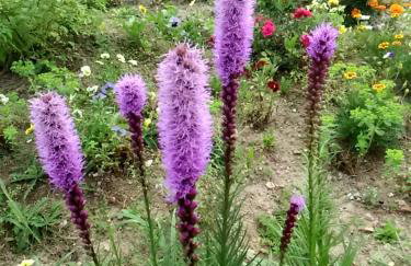 Mazurski Staw - Foto 73