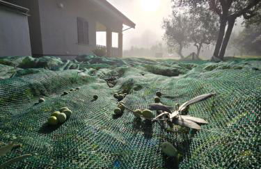 Dimora Kalipè - Foto 22