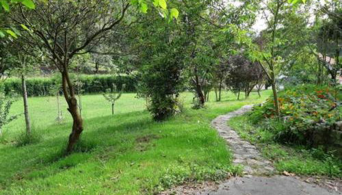 Finca La Sierra - Foto 4, Garden view