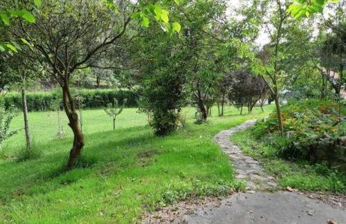 Finca La Sierra - Foto 4