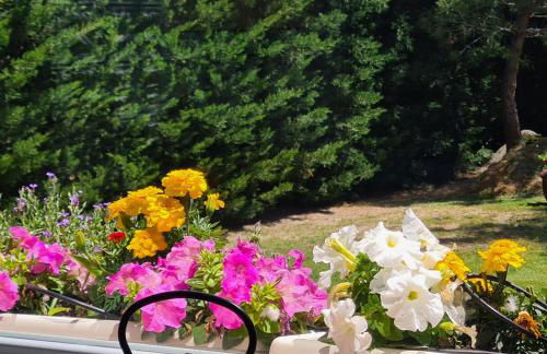 Villa Prana - Foto 57