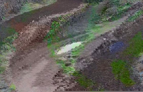 Quinta de São Braz - Foto 33