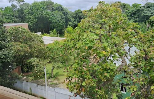 Bosque dos Camarás - Refúgio - Foto 16