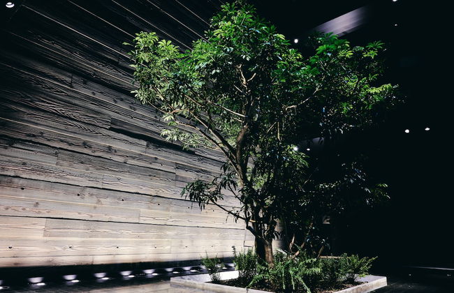 nol kyoto sanjo - Foto 3