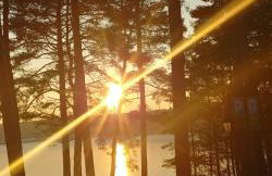 Domek w Ocyplu-Ocypelski Śpik ,Bory Tucholskie - Foto 4