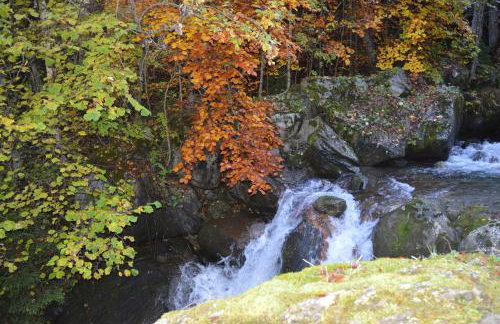 Clos du Pre - Chalet Chaleur - Foto 47