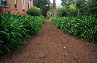 Jardines de Hortensia - Vacation home Tenerife - Foto 36