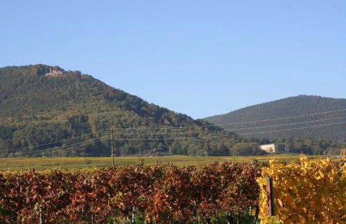 Ferienwohnung Spatzennest in Edesheim - Foto 12