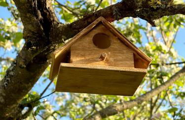 Agriturismo La Corte del Sole - Foto 157