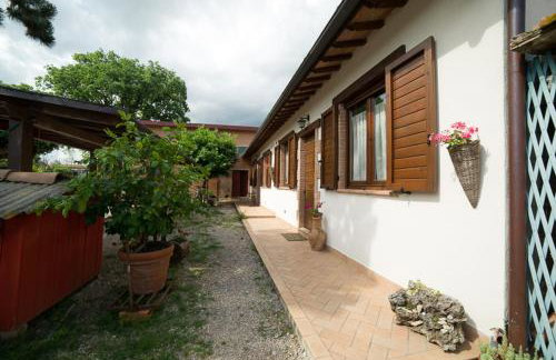 Agriturismo Consalvi - Foto 35