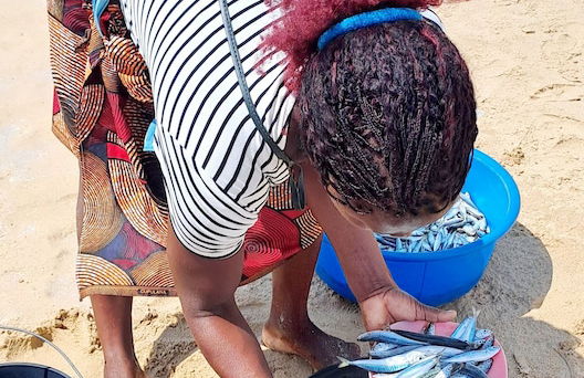 Sunset Villa - Luxury Beachfront Villa with Private Pool by Karula Sand Villas - Foto 36