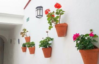 La Alboreá - Foto 52