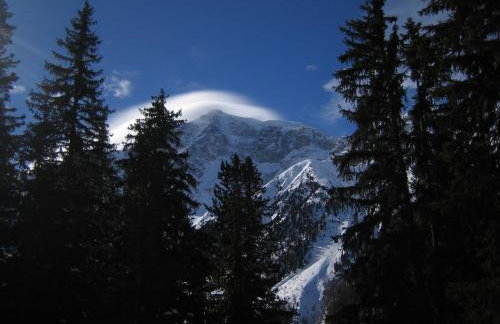 Residence Flora - Photo 26