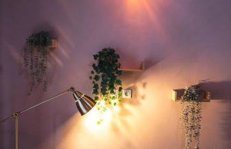 The cozy nest - Foto 10