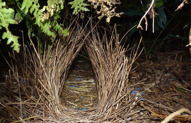 Bellthorpe Stays - Foto 38