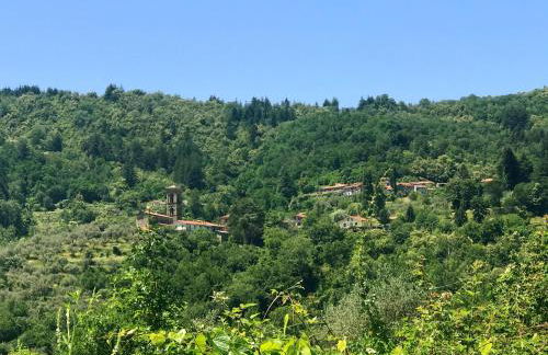 THE DORMOUSE - Il Ghiro - Foto 51