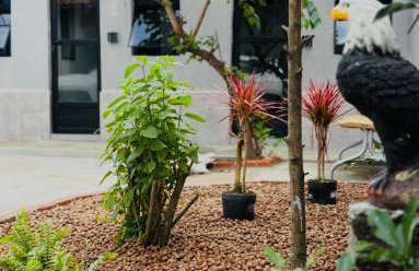 Apartamento aconchegante - Sesc Bertioga dentro de Pousada Lemon - Foto 22