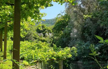 Quinta da Vinha Velha - Foto 42