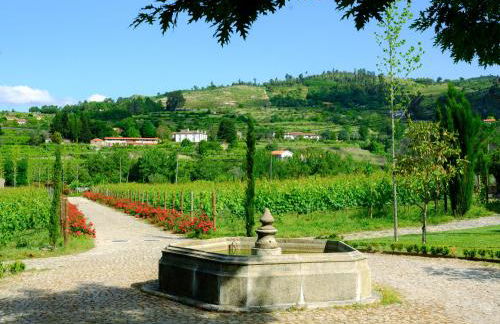 Lavandeira Douro Nature & Wellness - Foto 128