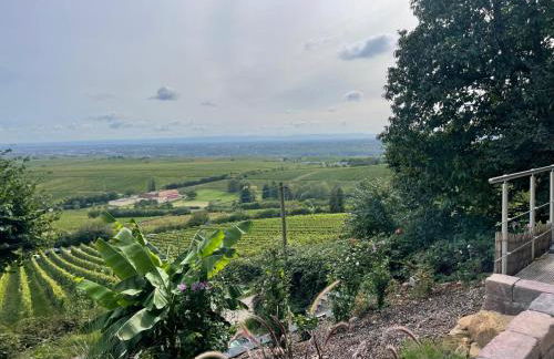 Ferienhaus Lindenallee 20 - Foto 11