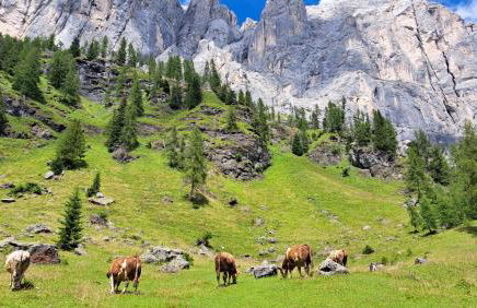 Staguda 59 - Foto 16