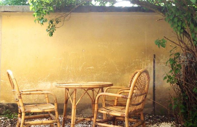 Alher Goriska - Photo 12