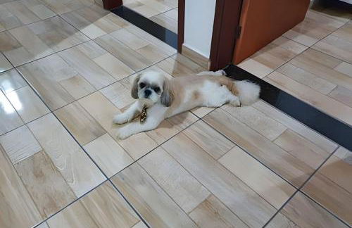 Chácara com piscina aquecida- Perdões - Photo 56