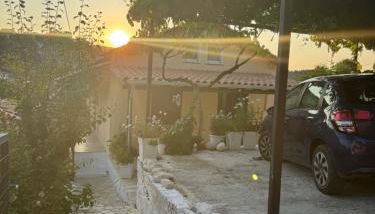 Basil & Sunrise - Photo 5