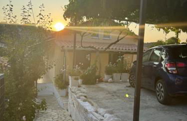 Basil & Sunrise - Photo 5