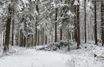 Bergwiesnblick Apartments - Foto 42
