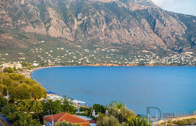 DN Sea Apartments - Photo 55