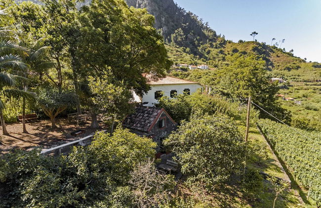 In Laurissilva Forest, Casa do Lanço -carvalho - Foto 55