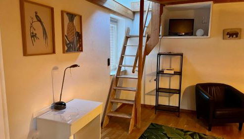 Schöne Ferienwohnungen in Oldenburg Eversten -bis zu 4 Personen 70qm- - Photo 4