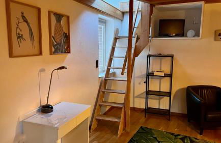 Schöne Ferienwohnungen in Oldenburg Eversten -bis zu 4 Personen 70qm- - Photo 4