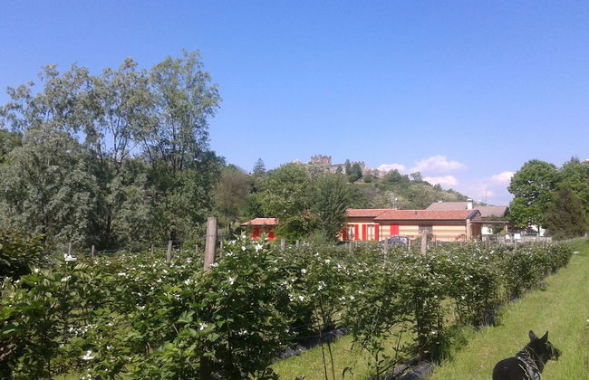 Agriturismo Terra e Lago d'Iseo - Foto 32