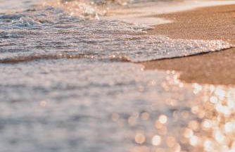 Natur Hof Fehmarn - Foto 14