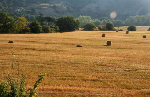 Baciano Azienda Agrituristico Venatoria - Foto 10