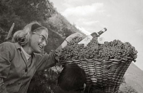 Dimora Perla di Villa - Historical Wine Retreat near Bernina Express - Foto 34